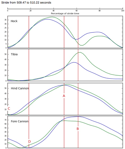 Grafiek 1: Asymmetrisch bewegingspatroon (nulmeting)